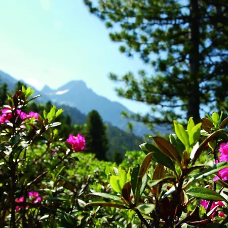 In Near Lift * Oetz