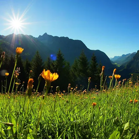 In Near Lift アパート オエッツ